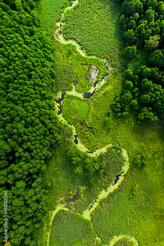 Green algae on river in spring. Aerial view of wildlife.