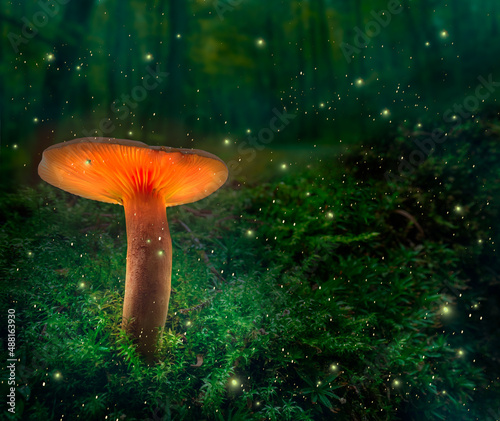 Magical dark forest and glowing mushroom with fireflies after dusk