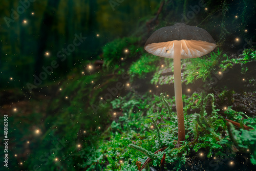 Glowing mushroom on moss and fireflies in dark forest.