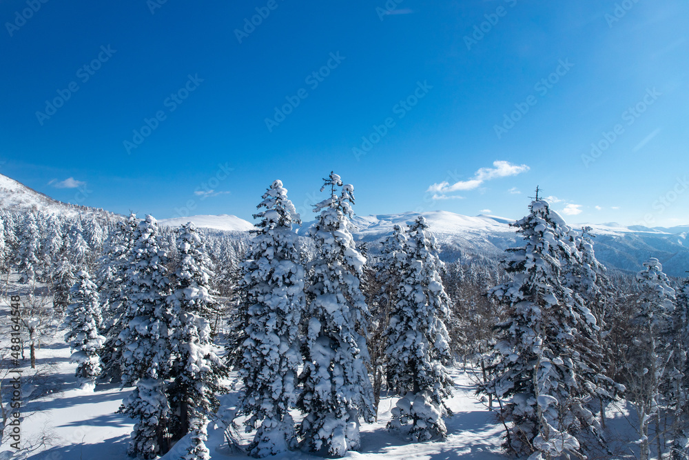 北海道　冬の大雪山旭岳の風景
