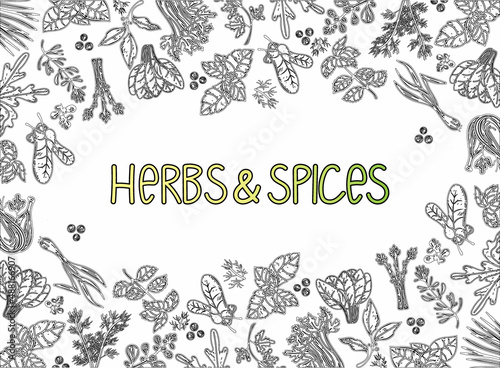 Packaging Layout. Herbs and spices, hand-drawn vector illustrations. Hand-drawn food sketch. Silhouettes of aromatic plants. Postcard design. Sketch style.