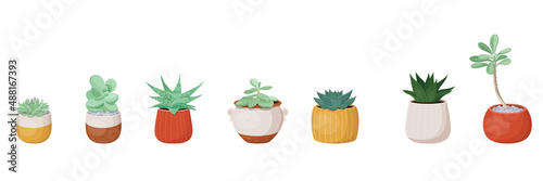 Set of different types of succulent plants in flower pots. Vector illustration