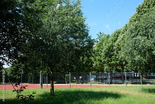 Fototapeta Naklejka Na Ścianę i Meble -  FU 2020-06-06 WeiAlong 111 Zwischen den Bäumen ist ein Sportplatz