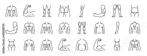 Fotografie, Obraz set of 24 outline web muscle building icons such as abdominal, arm, calves, glut