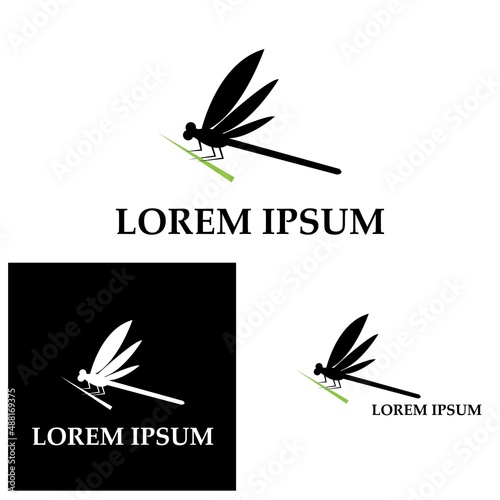 Dragonfly illustration icon design template vector