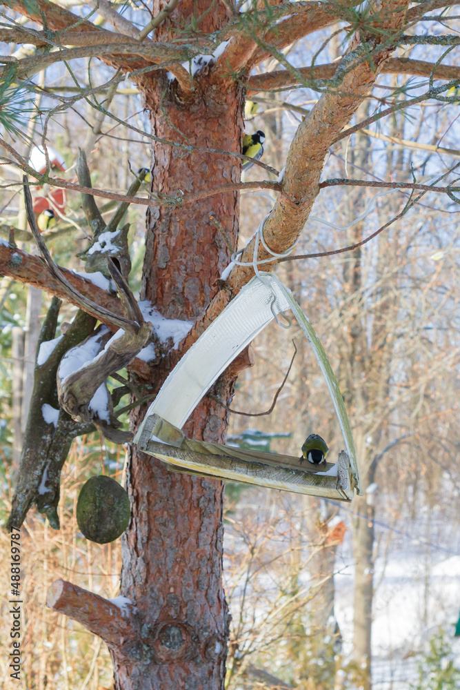 A bird feeder hangs on a tree in the village yard