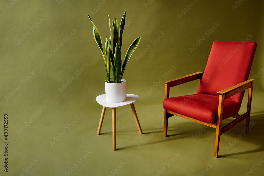 Fototapeta premium red chair and green plant on white table, olive green background