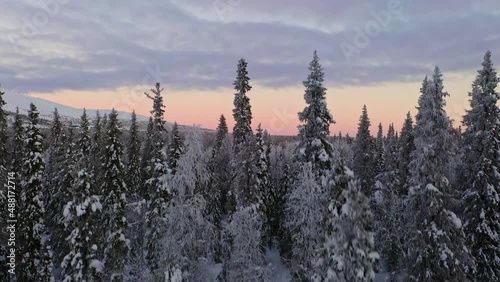 Aerial view rising in front of snowy trees, revealing cabins and the Yllas fell, dawn in Lapland - Ascending, drone shot photo