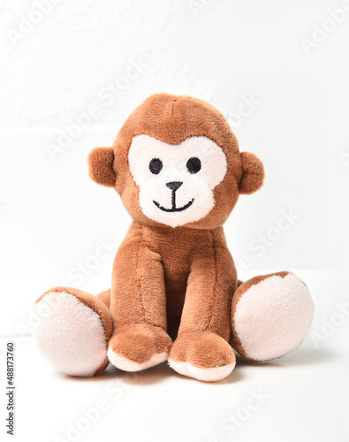 Foto Cute bear ,teddy brown isolated on white background , plush toys for kids