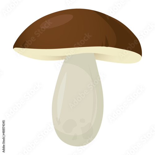 Mushroom Boletus Vector Icon Cartoon cep drawing photo