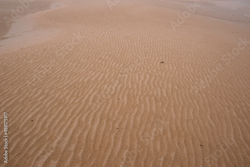 Oyster Bay in South Africa