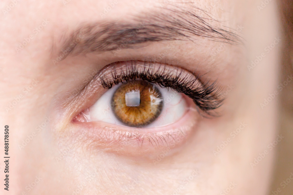 Female eye brown frightened closeup, looks into the frame. Female eye brown frightened closeup, looks into the frame.