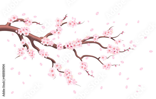 Pink spring flowers, a blooming fruit tree, a branch of apricot, cherry or sakura blossom.