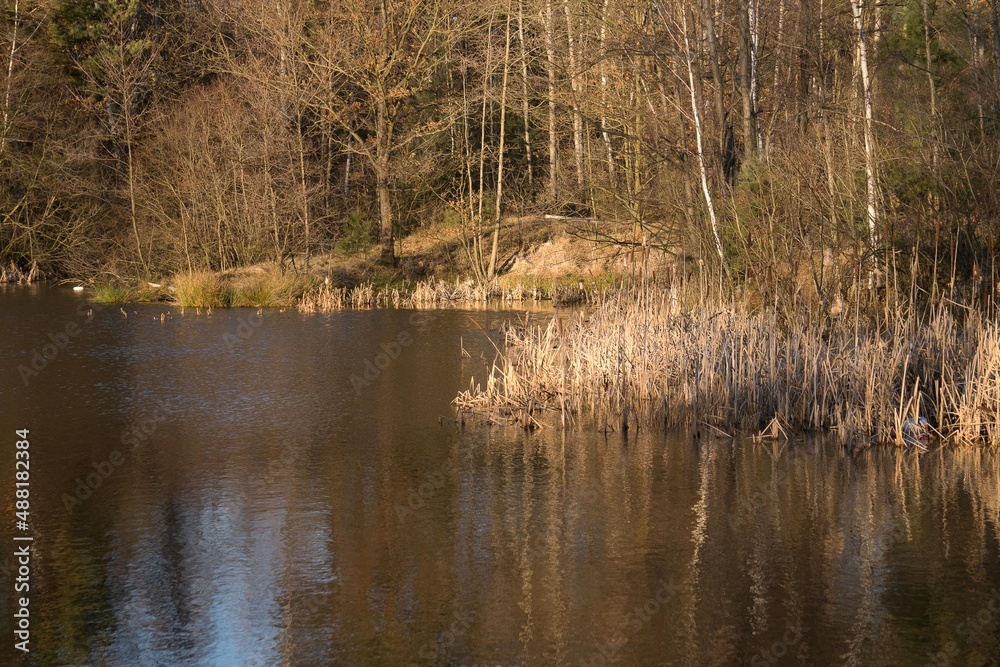 on the pond in the winter day with no snow on the pond in the winter day with no snow