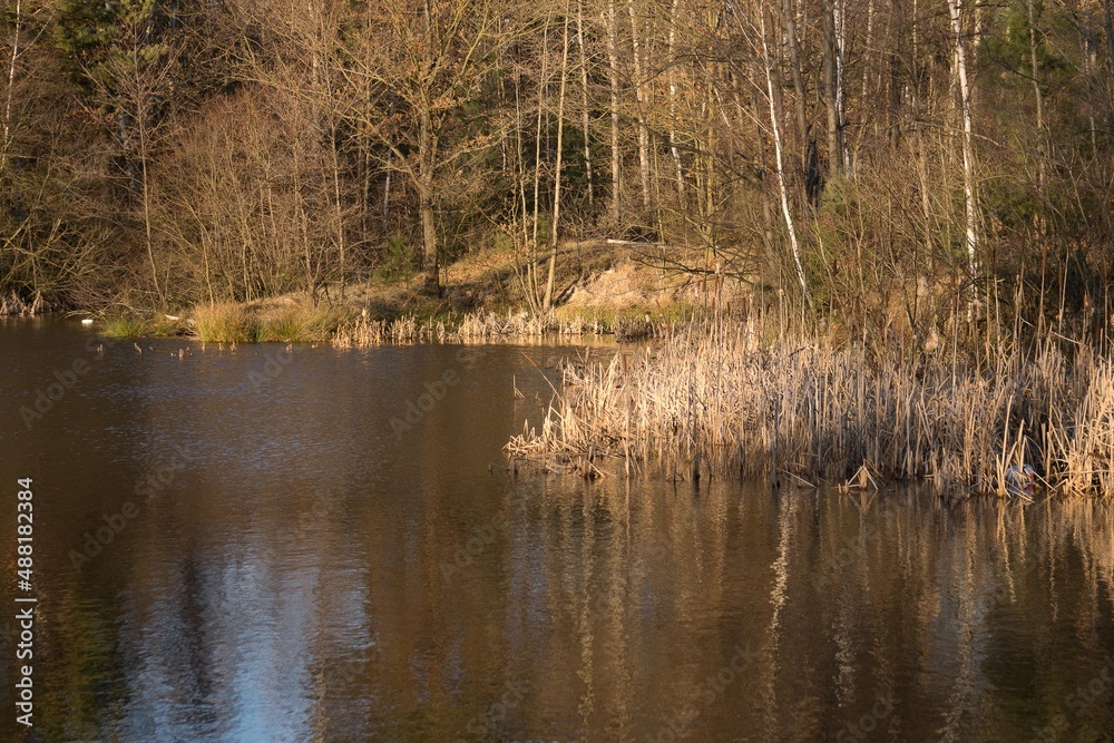 on the pond in the winter day with no snow