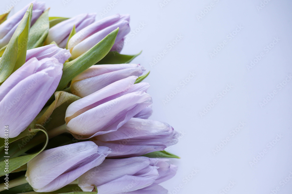 Obraz premium mockup greeting card. bouquet of lilac tulips on white background. color of the year 