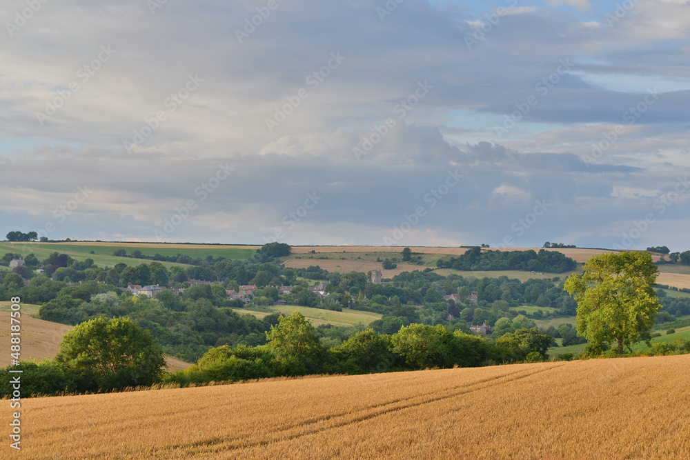 fields in the countryside