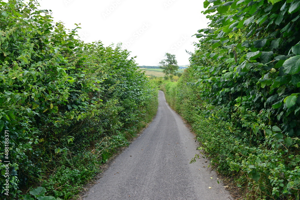 country road country road