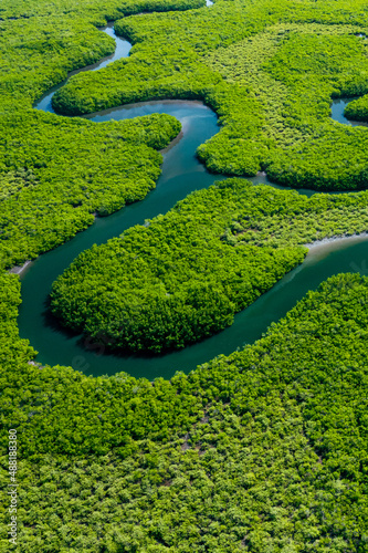 Ecosystem and Healthy Environment. Concepts and Nature Background. Tropical Rainforest. Aerial Top View. 