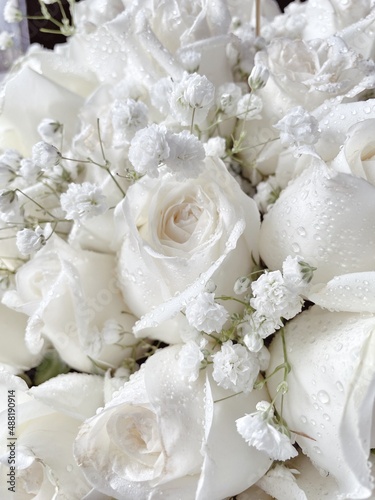 Beautiful of white rose flower bouquet background