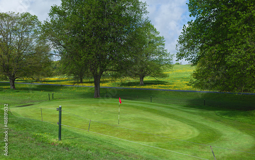 Golfing green with flag flanked by trees and grass with buttercups in bllom. Beverley, UK.