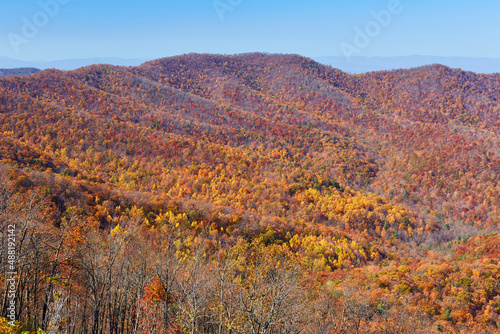 View of late-stage autumn colors from a hiking trail in Shenandoah National Park  Virginia