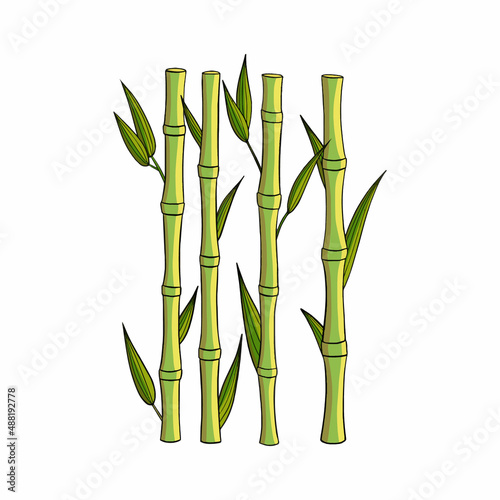 Realistic bamboo sticks with leaves. Vector illustration.