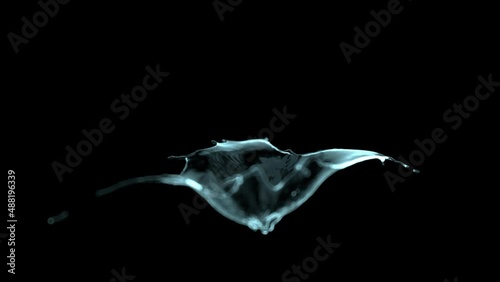 Incredibly beautiful splash of water in slow motion. The force of surface tension breaks the surface of the water for small drops and tendrils. Fully CG with alpha channel ready for compositing.
