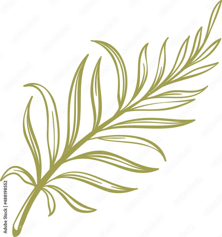 Decor leaves. Hand drawn greenery branches Decor leaves. Hand drawn greenery branches