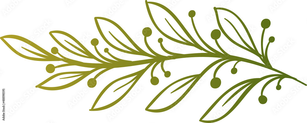 Decor leaves. Hand drawn greenery branches Decor leaves. Hand drawn greenery branches