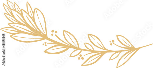 Decor leaves. Hand drawn greenery branches