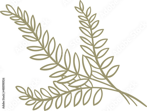 Decor leaves. Hand drawn greenery branches