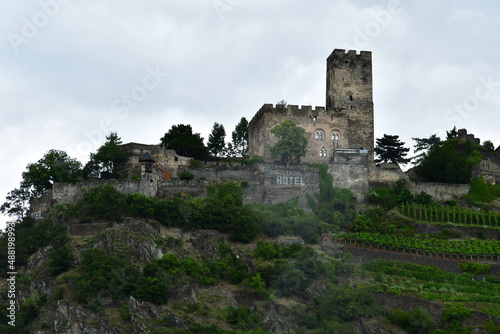 Rhine valley  Germany- august 11 2021   valley of medieval castles