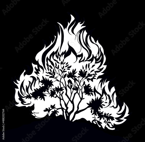 Burning bush. Vector drawing icon