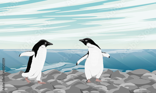 A pair of Adelie Penguin walk along a pebbly beach near the ocean. Birds of the South Poles. Realistic vector landscape