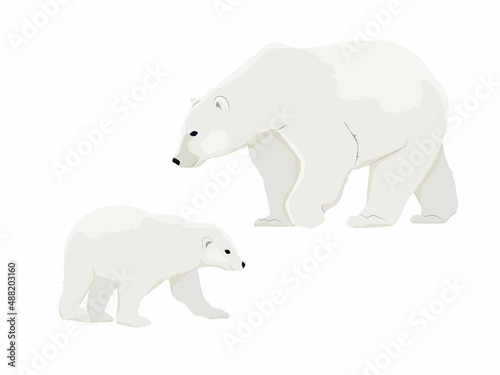 Polar bear mother Ursus maritimus and her cub. Wild animals of the North Pole. Realistic vector animal