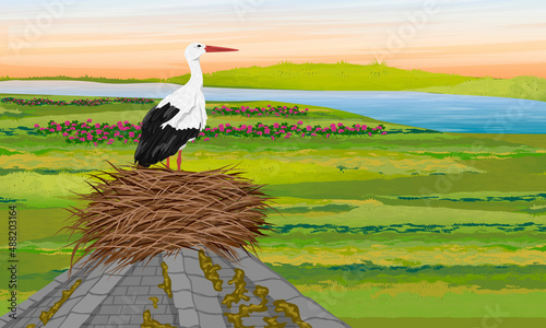 A white stork stands in a nest on the roof of an old building. Green meadow with river and flowering plants. Realistic vector summer landscape