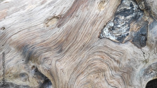 beach wood grain detail