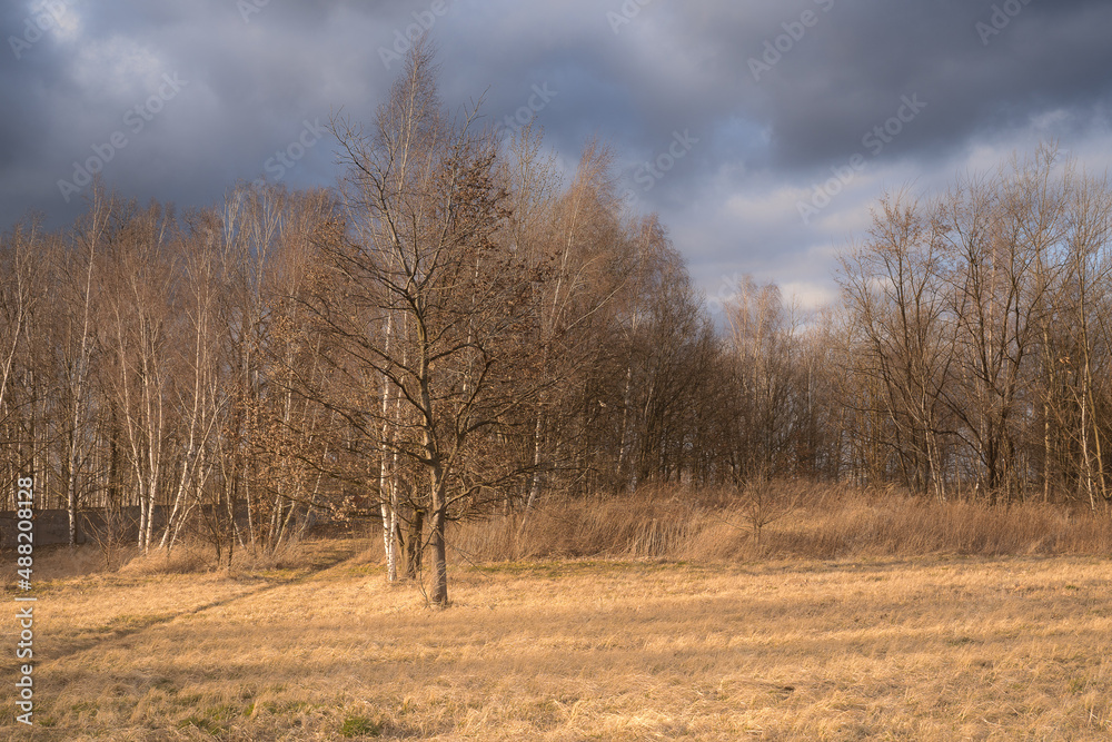 february landscapes without snow with windy weather and trees without leaves february landscapes without snow with windy weather and trees without leaves