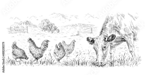rural landscape with animals hand drawing sketch engraving illustration style