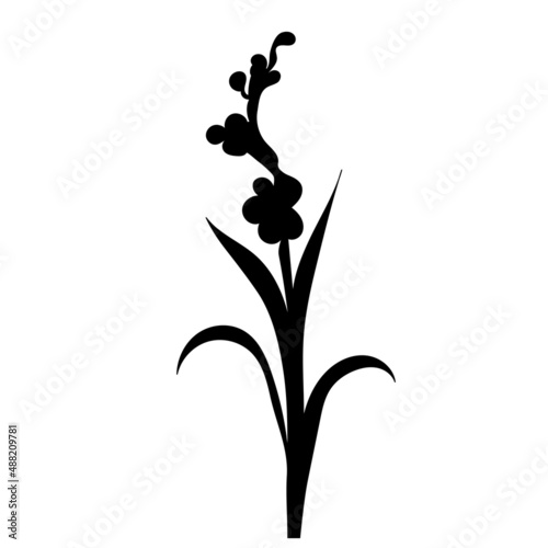 flower black silhouette on white background, isolated vector