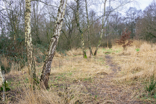 Scenic view of a hiking trail in nature and recreation area "Gouwebos" between the towns of Waddinxveen and Boskoop, The Netherlands. © Menyhert