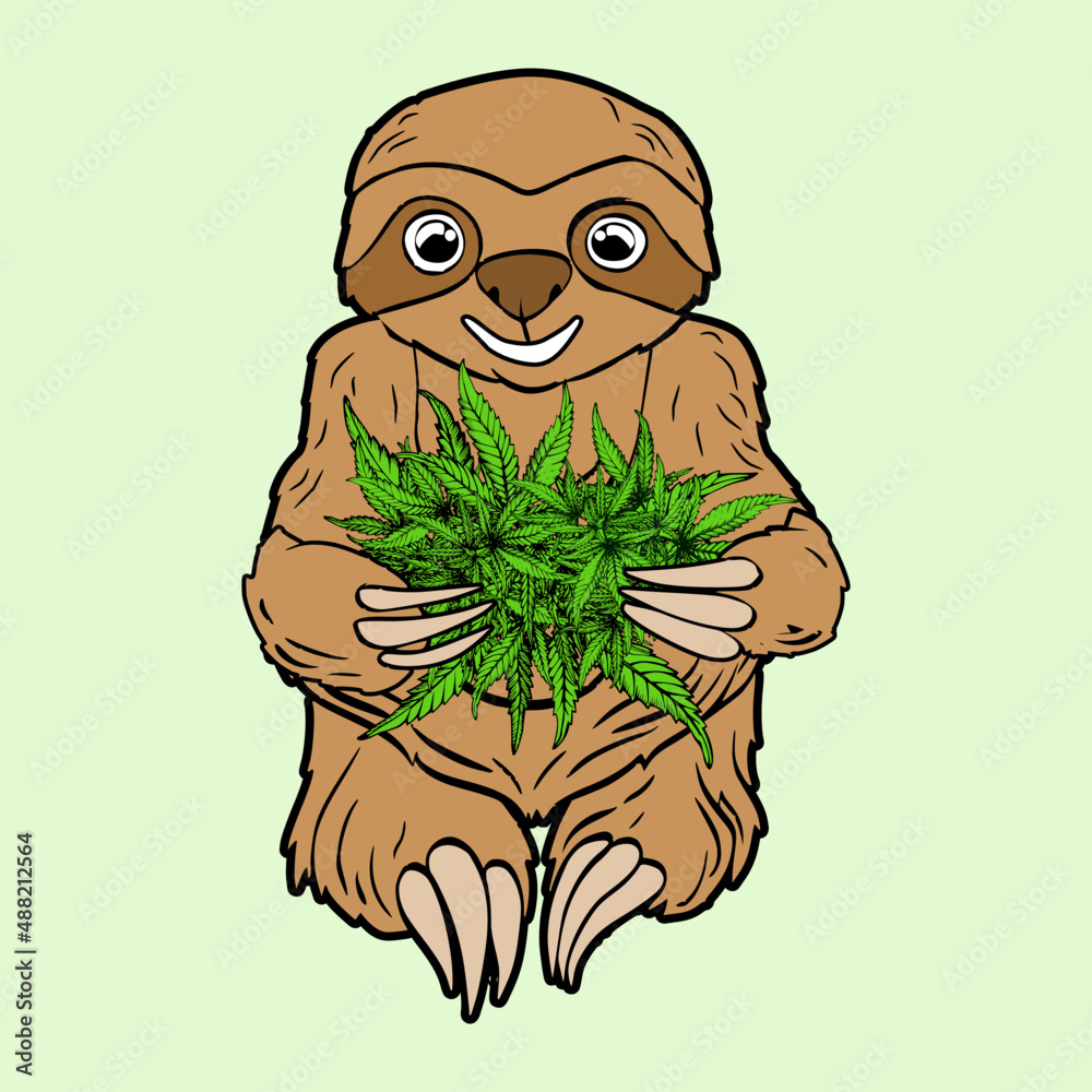 Obraz premium Sloth animal hold cannabis marijuana ganja hemp kush cannabis leaf
