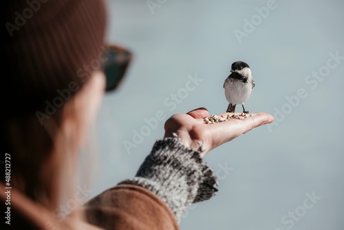 bird in hand
