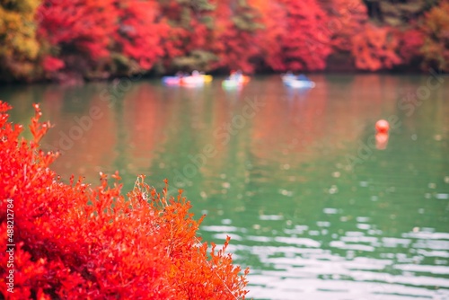 autumn leaves reflecting in the water