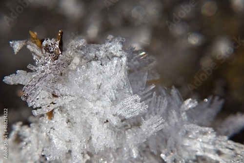neige