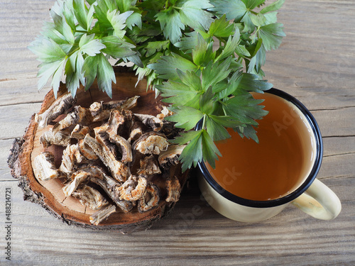 Root, herbal drink in a mug and spicy herb lovage with green leaves in a wooden spoon. Medicinal plant levisticum for use in cooking, alternative medicine, homeopathy and cosmetology