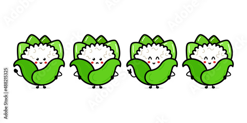 Cute funny cauliflower character. Vector hand drawn cartoon character illustration icon. Isolated on white background. Cauliflower character concept