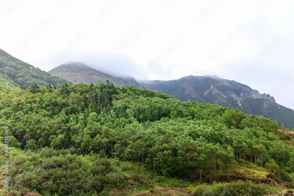 Fototapeta premium Epic mountain view with fog over the mountains and green grass and trees in valley