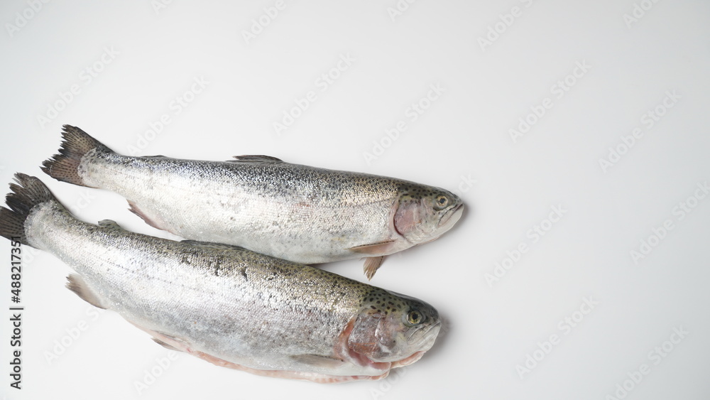 Fresh trout on a table. Healthy seafood and dieting concept. Fresh trout on a table. Healthy seafood and dieting concept.